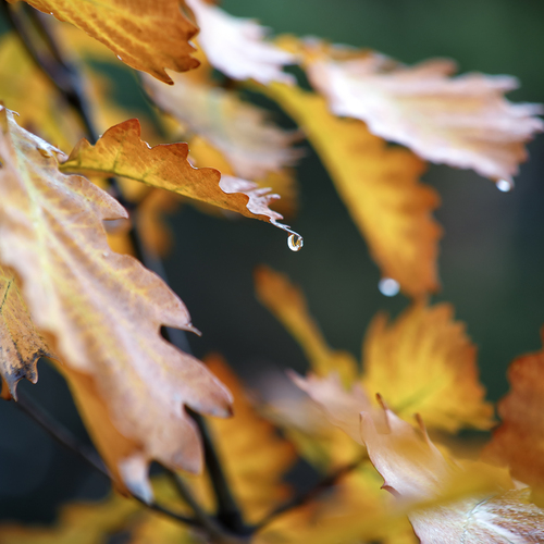 Photo #14127756