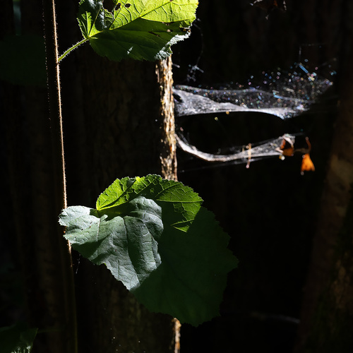 Photo #14127803