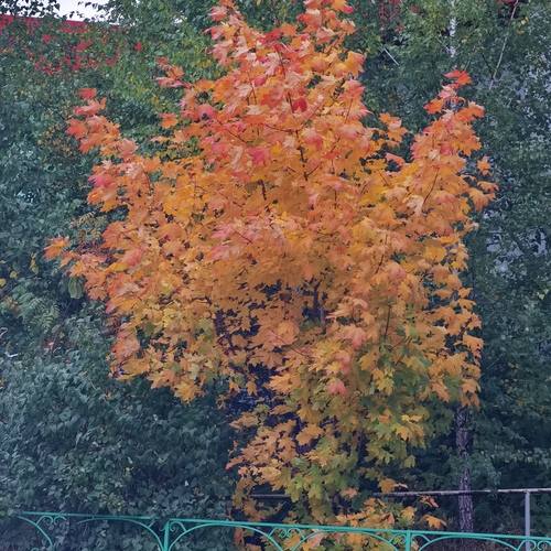 Photo #14127817