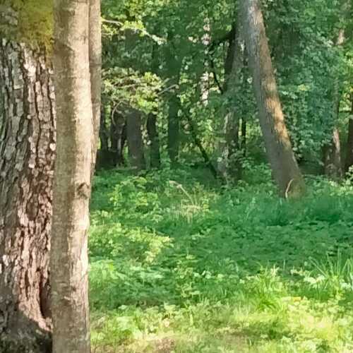 Photo #14127849