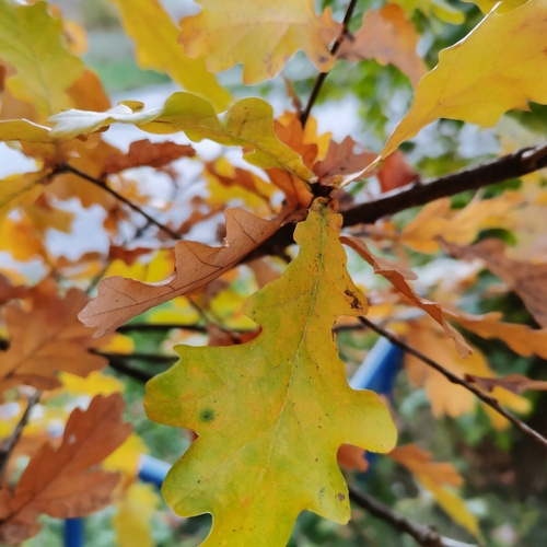 Photo #14127862
