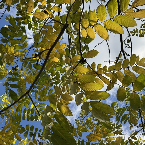 Photo #14127925