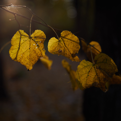 Photo #14127948