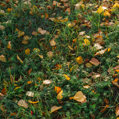 Photo #14128028