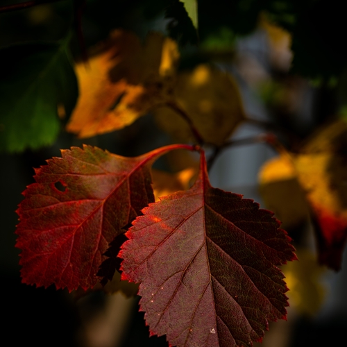 Photo #14128042