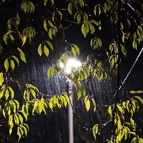 Photo #14128087