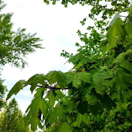 Photo #14128131