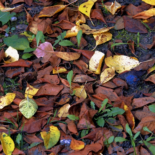 Photo #14128274