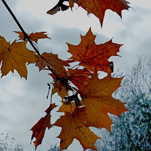 Photo #14128304