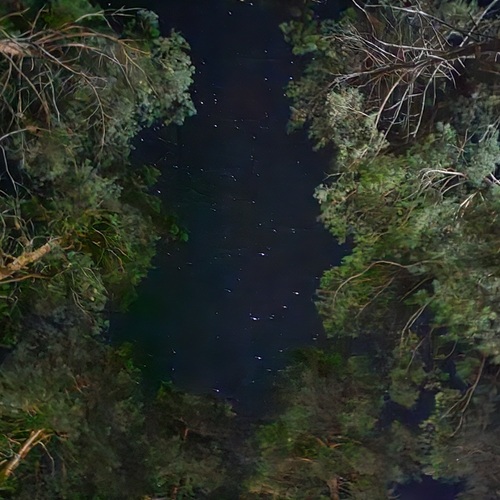 Photo #14128328