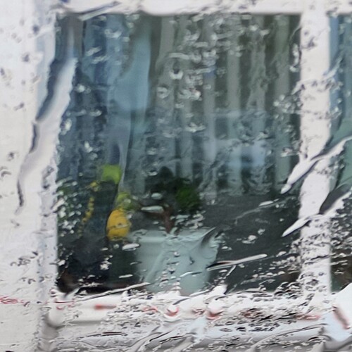 Photo #14128389