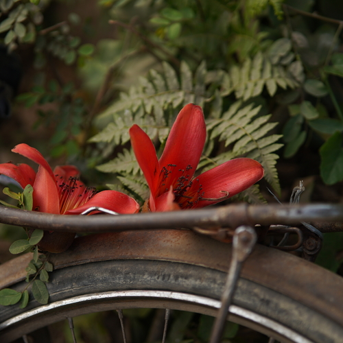 Photo #14128415