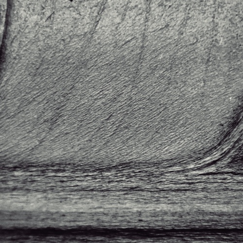 Photo #14128431