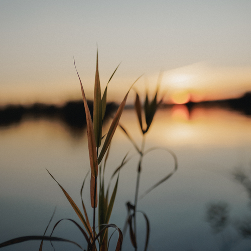 Photo #14128460