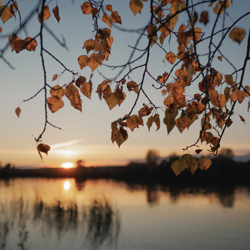 Photo #14128464