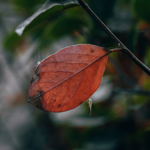 Photo #14128505