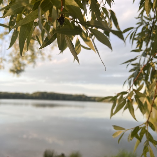 Photo #14128544