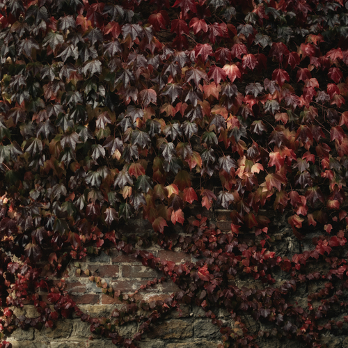 Photo #14128660