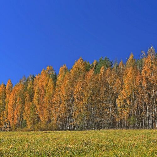 Photo #14128671