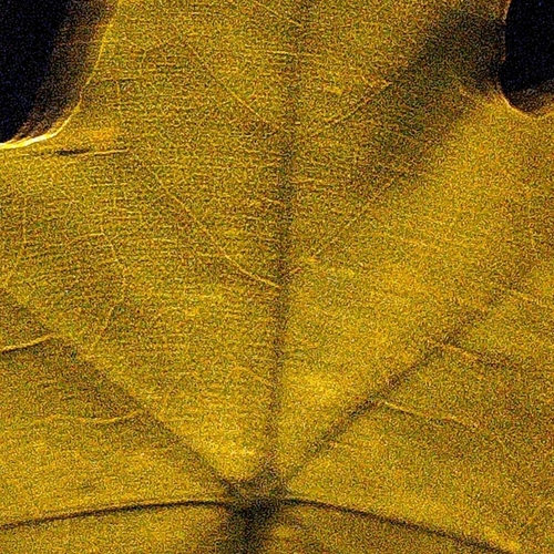 Photo #14128689