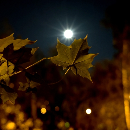 Photo #14128692