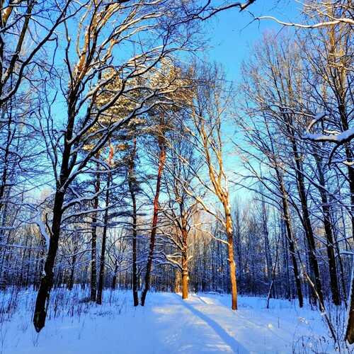 Photo #14128711