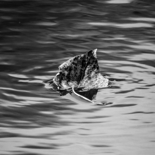 Photo #14128742