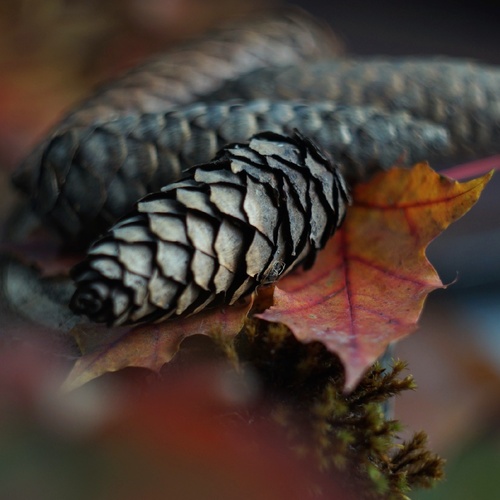 Photo #14128836