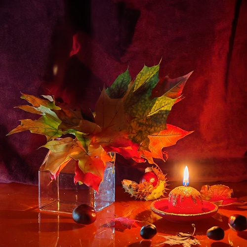 Photo #14128845