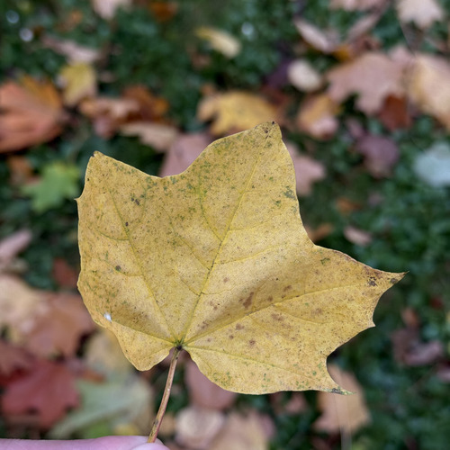 Photo #14128883