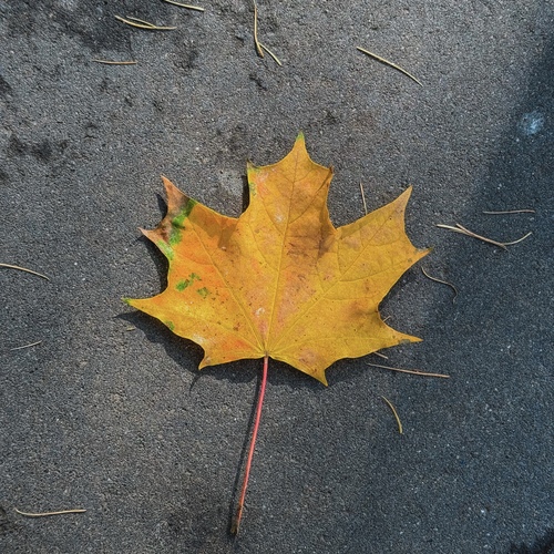 Photo #14128884