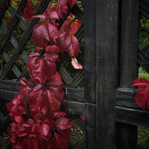 Photo #14128966