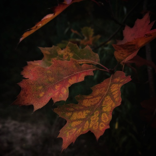 Photo #14128984