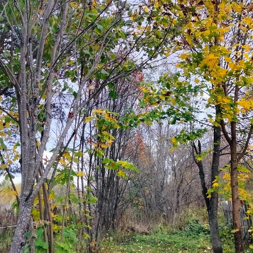 Photo #14128988