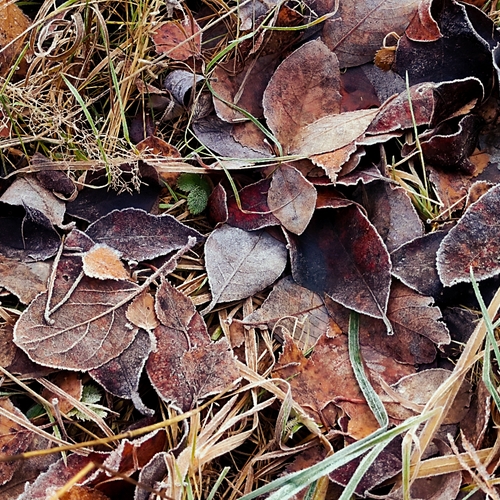 Photo #14129154