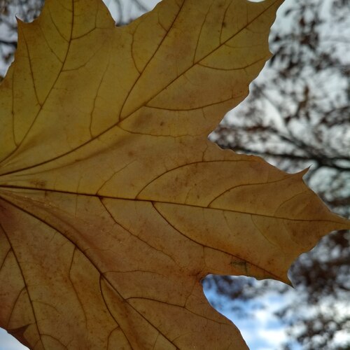 Photo #14129161