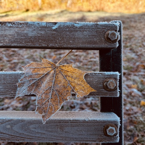 Photo #14129167