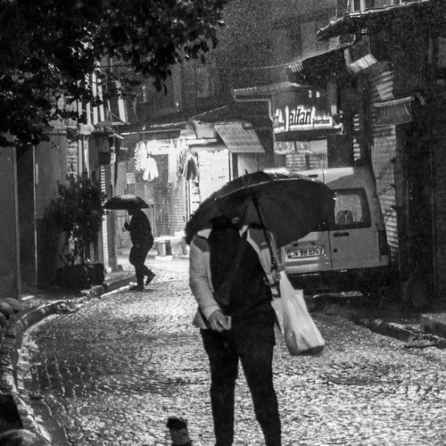 Photo #14129203