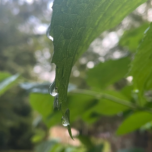 Photo #14129230