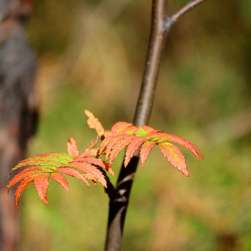 Photo #14129352