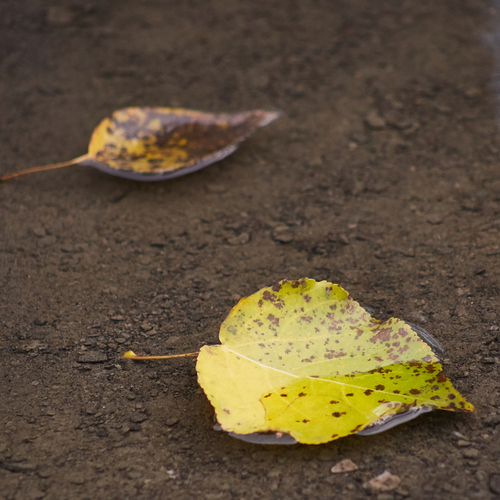 Photo #14129439