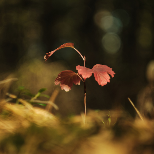 Photo #14129544