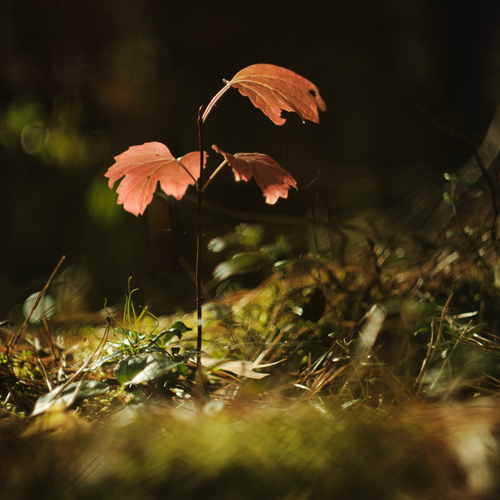 Photo #14129549