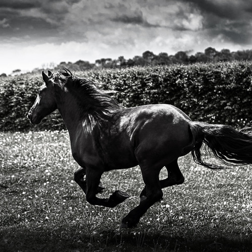 Photo #14129556