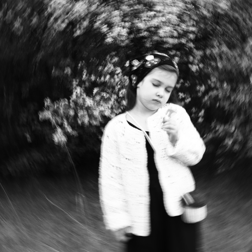 Photo #14129584