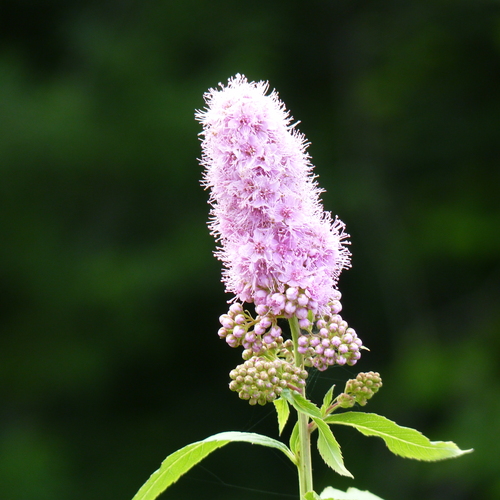 Photo #14129604