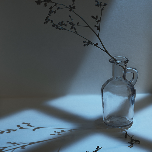 Photo #14129742