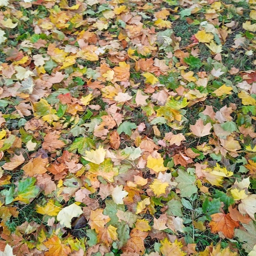Photo #14129940