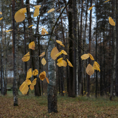 Photo #14129965
