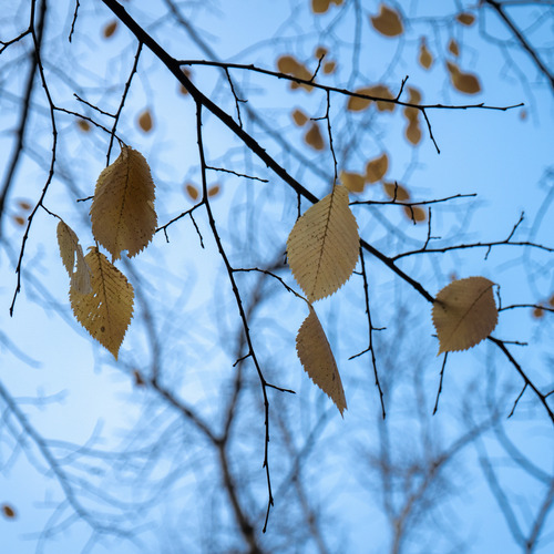 Photo #14129966
